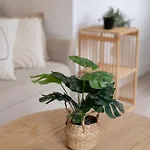 Casa Nicole Gam *